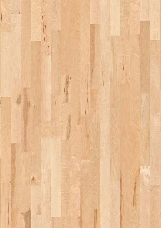 Animoso Live Satin lacquer